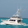 HATTERAS 60 - 30 pax 2 engines. - Image 3